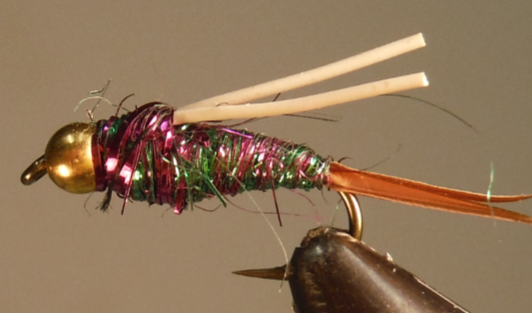 BH Blue Rainbow Prince