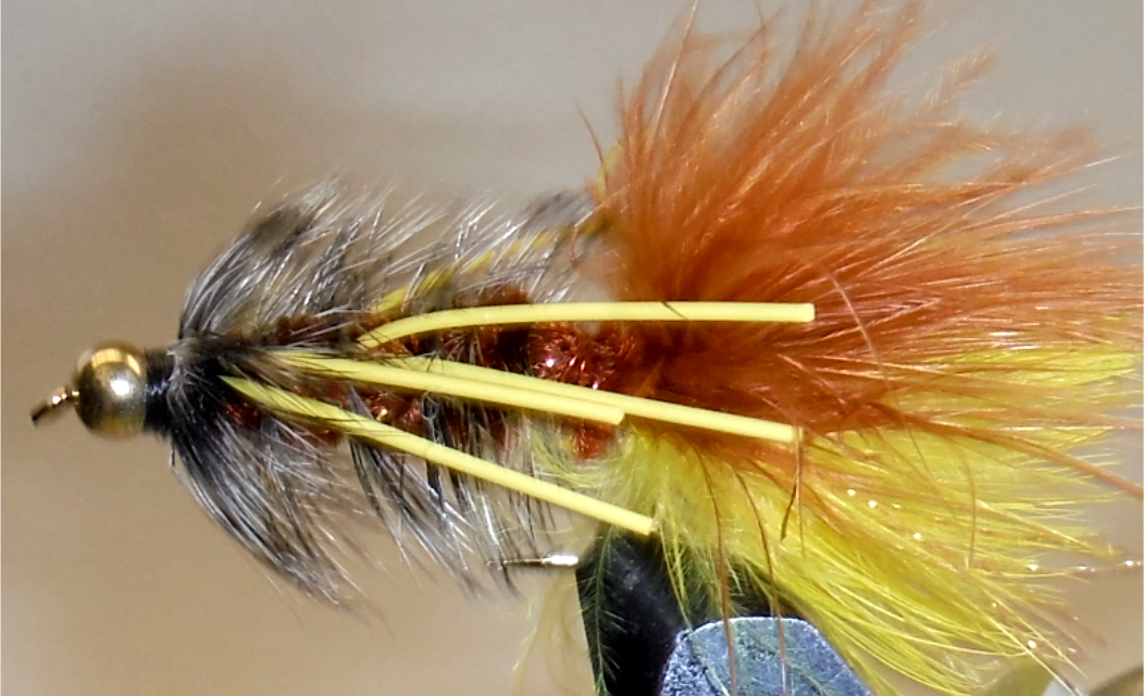 BH Woolly Bugger