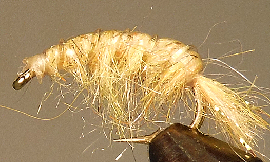 Molting Scuds