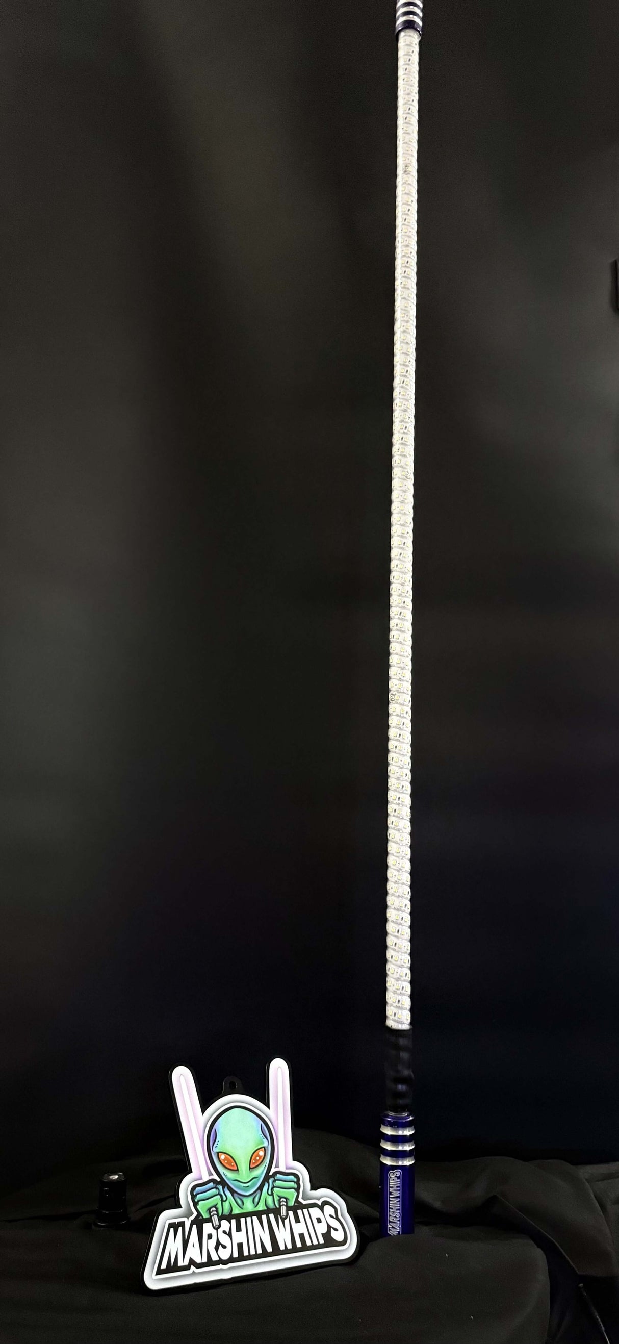 GAME CHANGER - PURPLE (SINGLE)