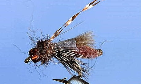 Rocky Mtn. Caddis - 5 Colors