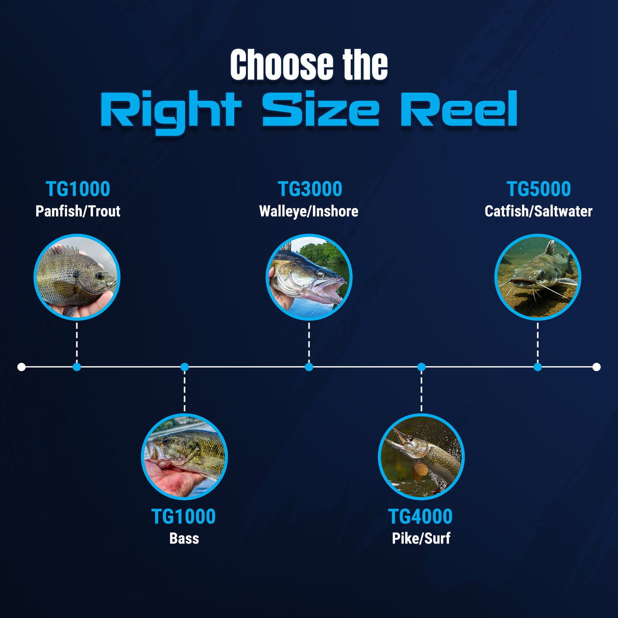 Reaction Tackle High-Performance Fishing Reels- Spinning Reel Series - NEW