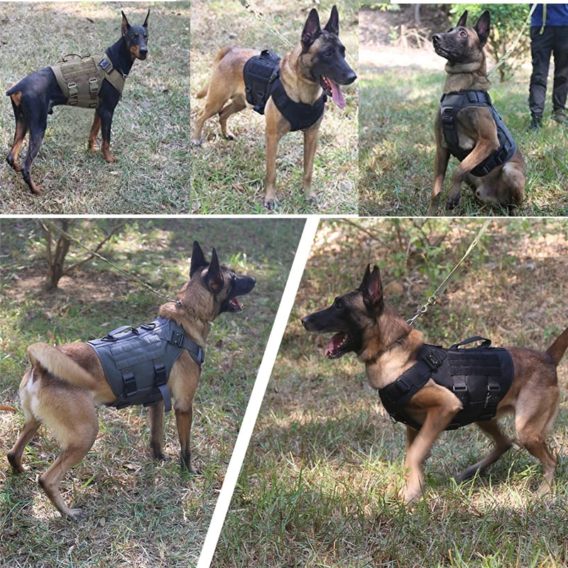 Tactical Military Dog Harness and Leash Set-4