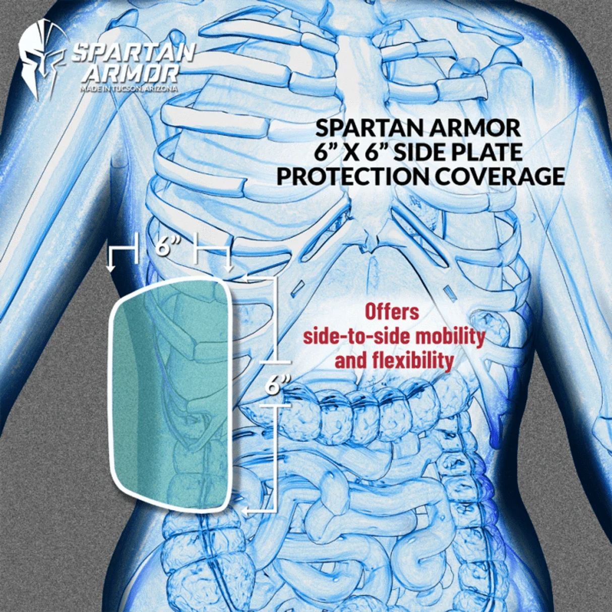 Spartan Level III+ AR550 Steel Body Armor Package