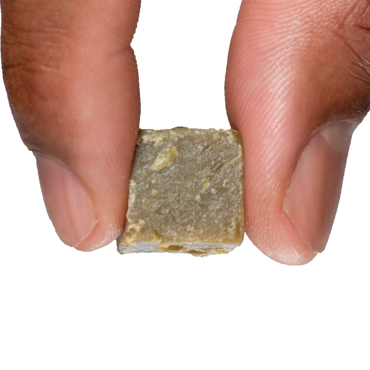 Catalpa Worm Catfish Bait