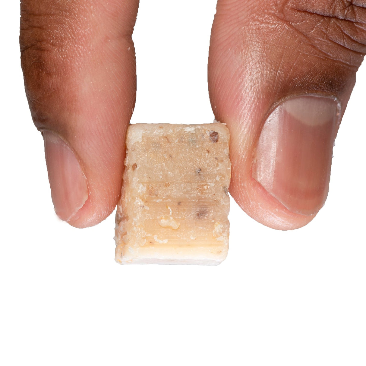 Cricket Catfish Bait