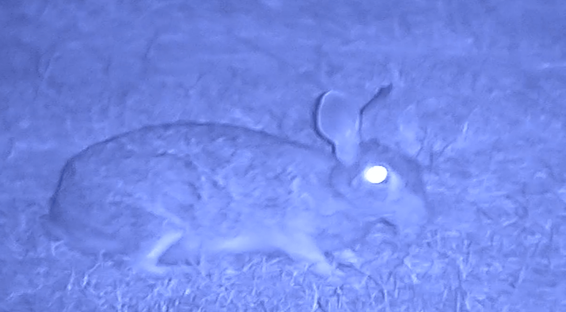 NVx7 Digital Night Sight