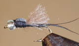 Foam Top Midge
