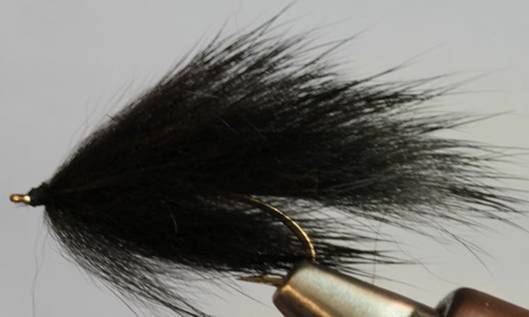 Pine Squirrel Leech - 4 Colors