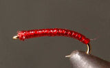 Rock Worm / Annelid - Red or Purple