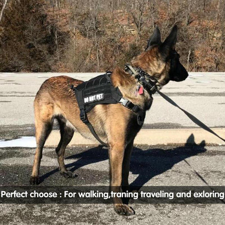 Tactical Elastic Control Dog Leash-2