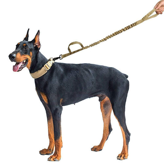 Tactical Elastic Control Dog Leash-1