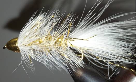 Cone Head - Bite Me Buggers