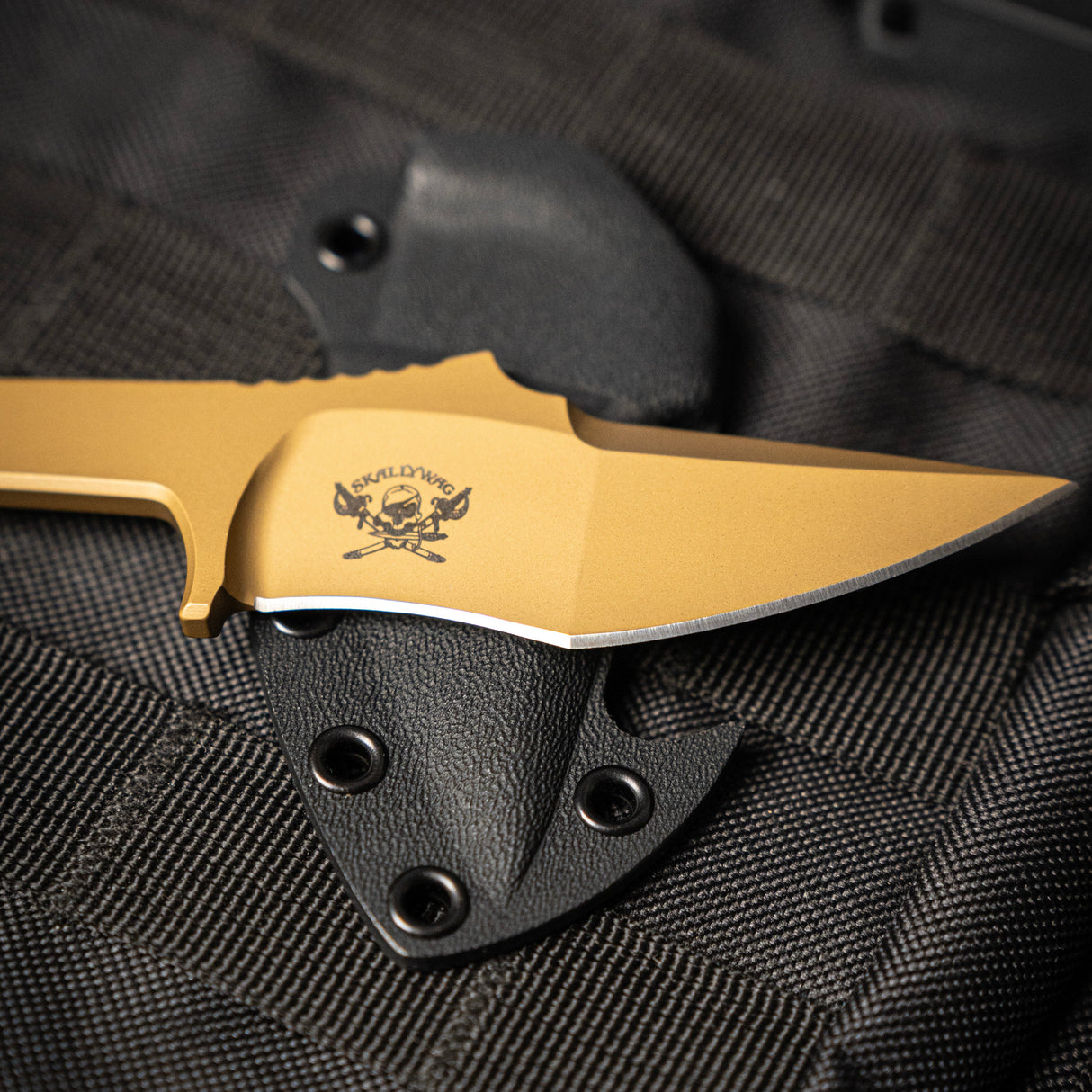 MDV Plus One - Bounty Gold-3