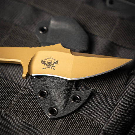 MDV Plus One - Bounty Gold-3