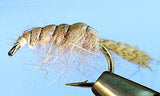 Molting Scuds