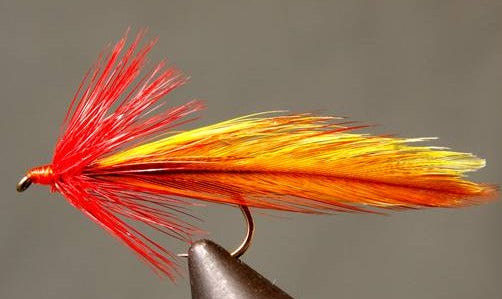 Platte River Special