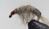Molting Scuds