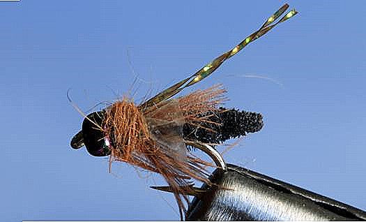 Rocky Mtn. Caddis - 5 Colors