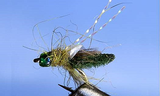 Rocky Mtn. Caddis - 5 Colors