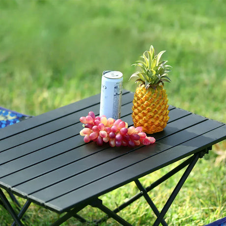 Table Mini Camping Table-4