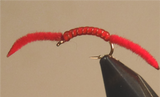 San Juan Worm - 4 Colors