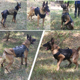 Tactical Military Dog Harness and Leash Set-4