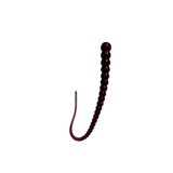Whip Worm