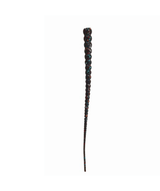 Whip Worm