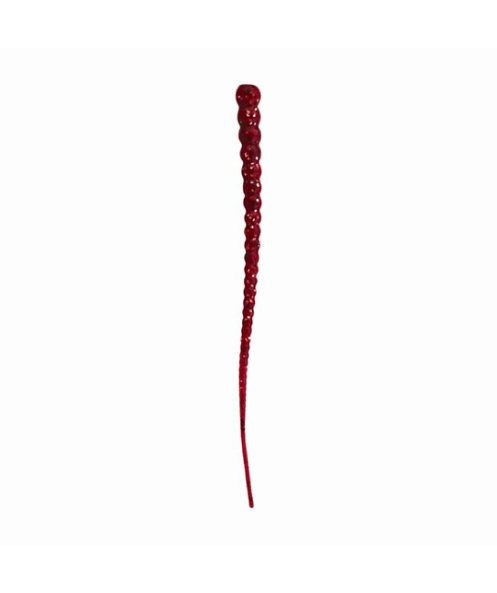 Whip Worm