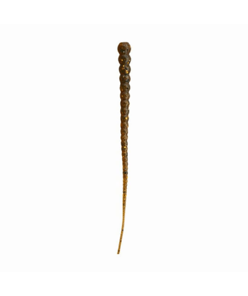 Whip Worm