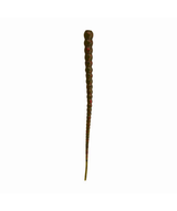 Whip Worm