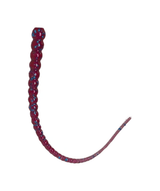 Whip Worm